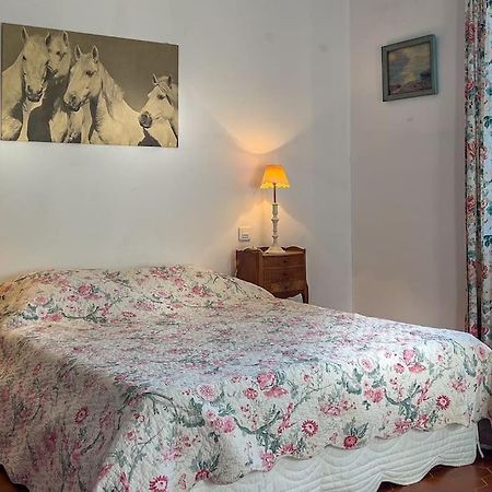 Mas De Charme En Pleine Camargue Saint-Gilles (Gard) Exterior foto