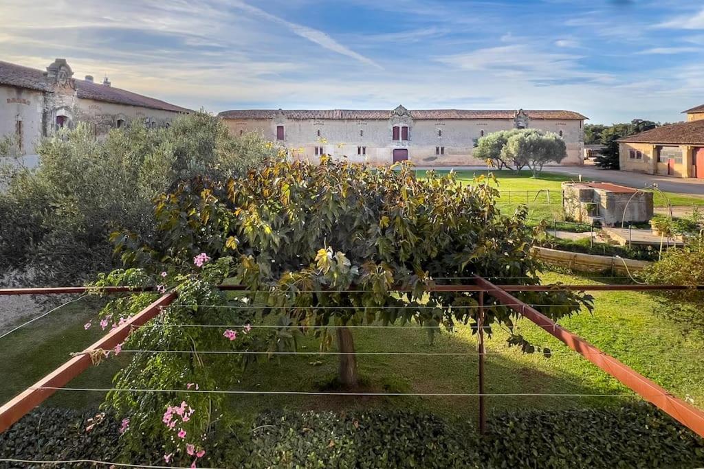 Mas De Charme En Pleine Camargue Saint-Gilles (Gard) Exterior foto